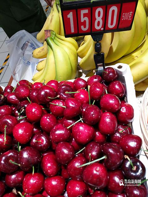 温室大樱珠甜美来袭 大田樱珠5月上市(组图) 温室大樱珠甜美来袭 大田樱珠5月上市(组图)