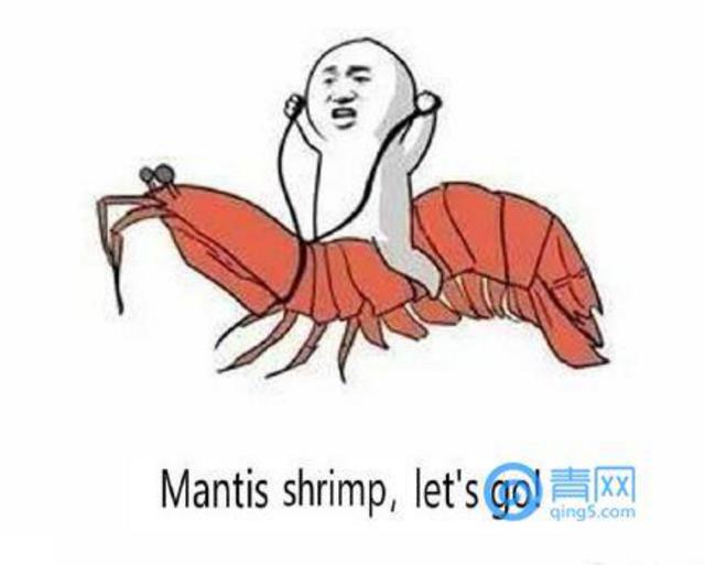 “注胶皮皮虾”视频刷屏 青岛人笑了：不吃别浪费
