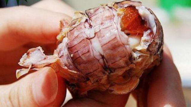 “注胶皮皮虾”视频刷屏 青岛人笑了：不吃别浪费