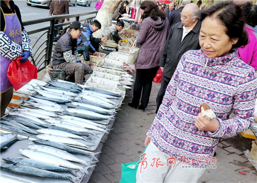 本地春鲅鱼抢鲜上市 每公斤46元-50元不等