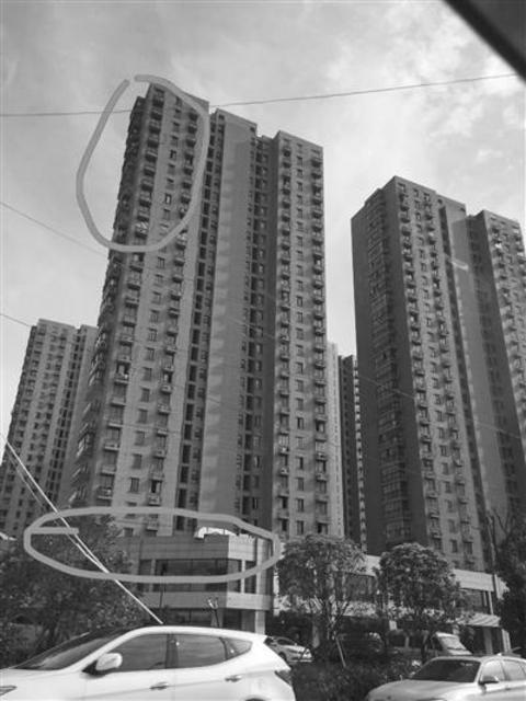 滨江大同公寓宠物猫坠落的位置示意 消防供图