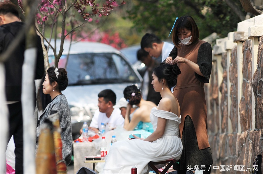 高清:八大关迎来最美花季 准新人扎堆拍婚纱照