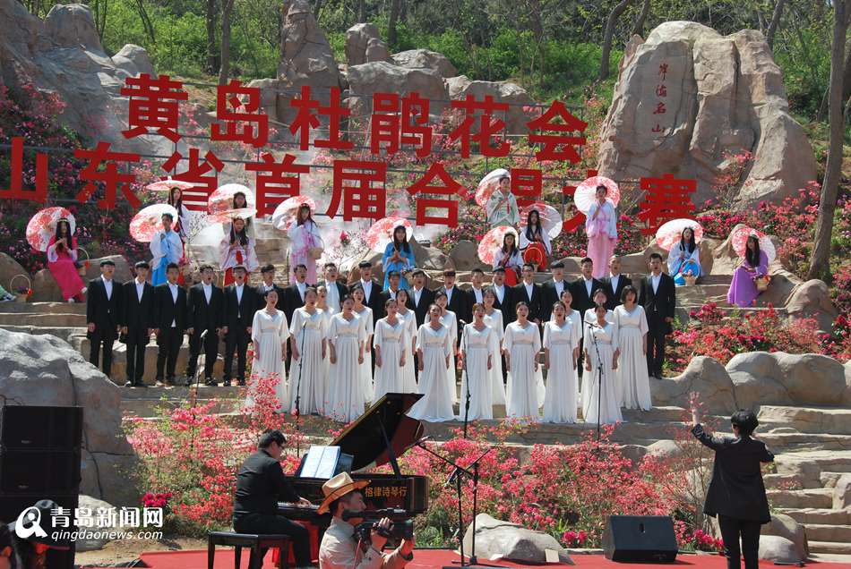 大珠山杜鹃花盛放 将演万人同唱映山红