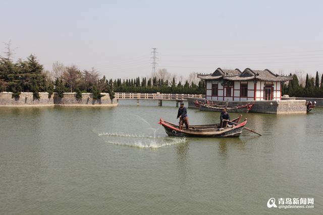 红岛蛤蜊节25日开幕 让你一次过足海鲜瘾