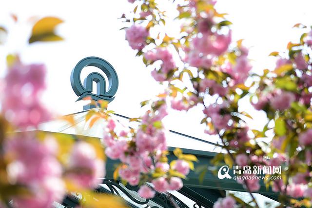 开往春天的地铁3号线 每一站都有好风景