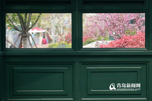 开往春天的地铁3号线 每一站都有好风景