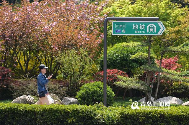 开往春天的地铁3号线 每一站都有好风景