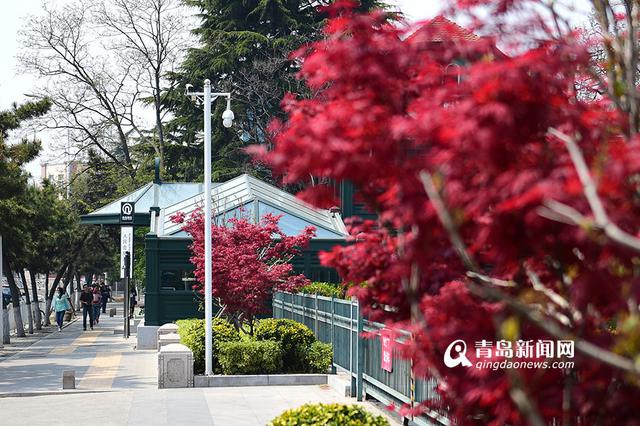 开往春天的地铁3号线 每一站都有好风景
