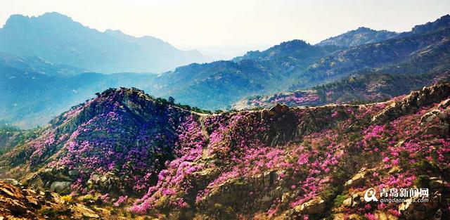 西海岸推出旅游一卡通年票 百元任游七大景区