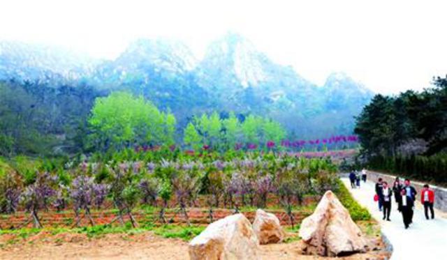 浮山生态园新增十条花木景观路 绿化95%以上