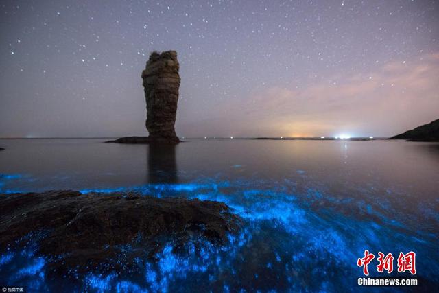 梦幻！大连现“荧光海”奇观