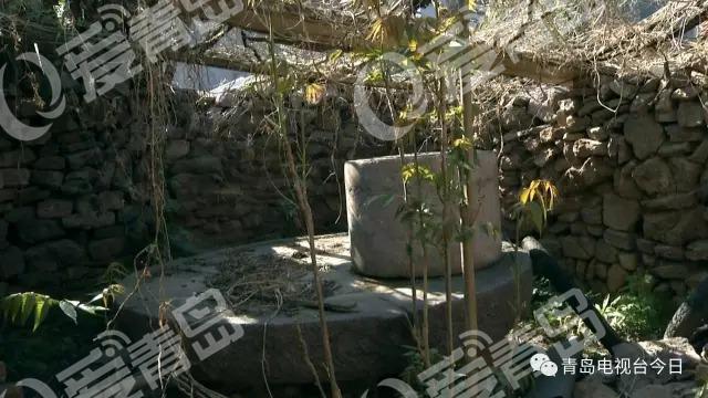 有种壮美叫龙鳞壁 即墨600年石磨坑奇观