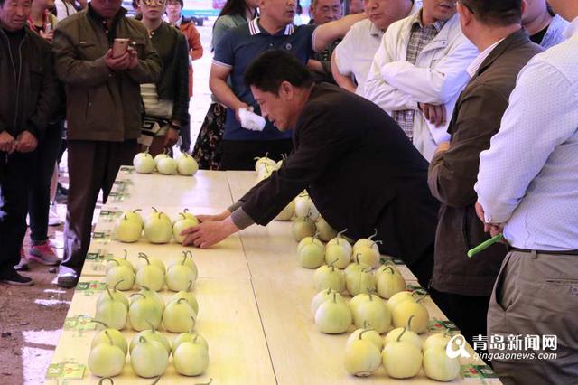 田横岛将添30万亩海洋牧场 拟年内签发开协议