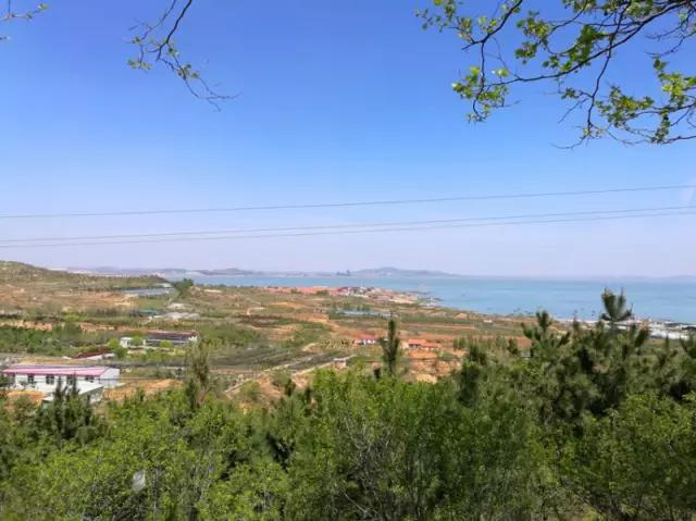 青岛蓝谷滨海公园实拍 无敌海景美不胜收(图)