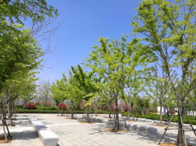 青岛蓝谷滨海公园实拍 无敌海景美不胜收(图)