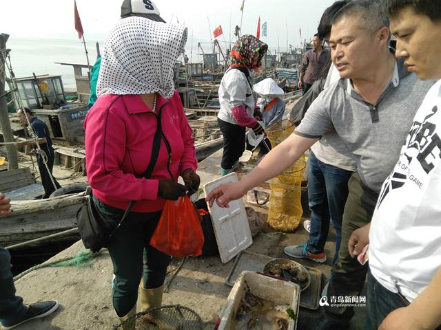高清：休渔前最后一波皮皮虾上岸 遭游客疯抢