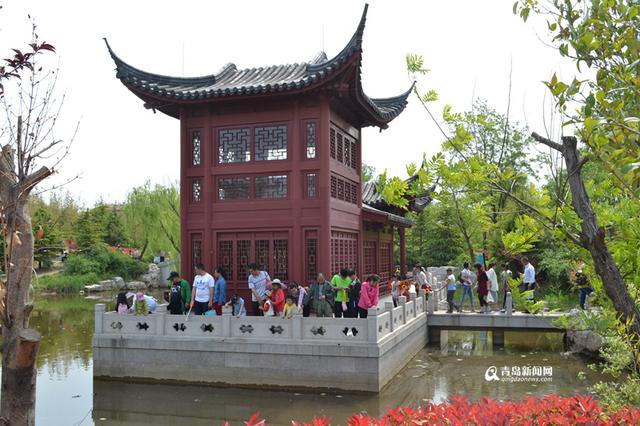 五一近郊游火热 国学公园成新人拍照圣地