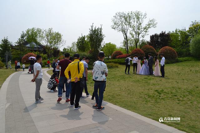 五一近郊游火热 国学公园成新人拍照圣地
