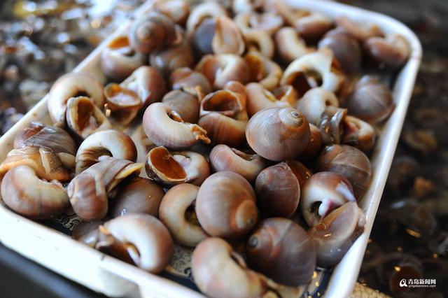 高清：休渔期贝类海鲜唱主角 哪一种是你最爱