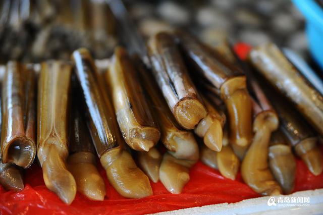 高清：休渔期贝类海鲜唱主角 哪一种是你最爱