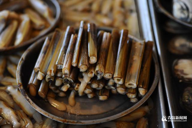 高清：休渔期贝类海鲜唱主角 哪一种是你最爱