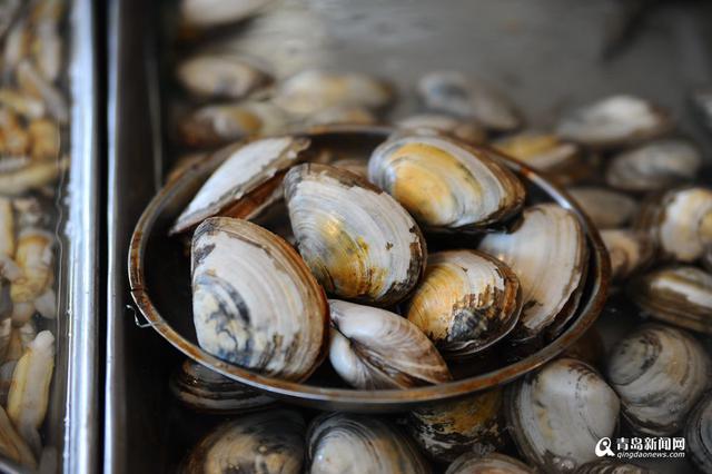 高清：休渔期贝类海鲜唱主角 哪一种是你最爱