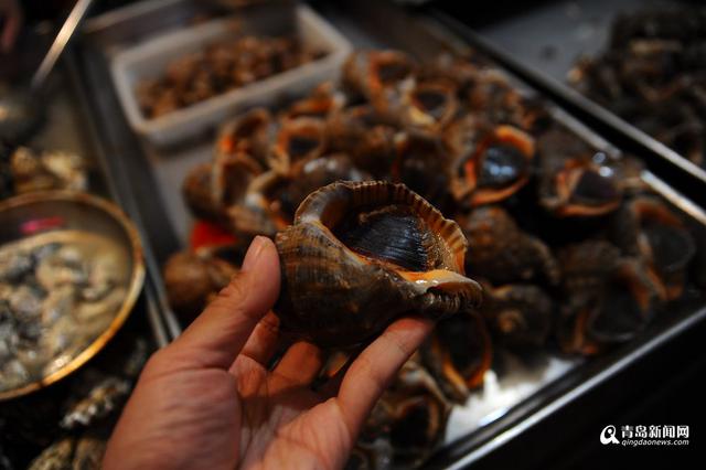 高清：休渔期贝类海鲜唱主角 哪一种是你最爱