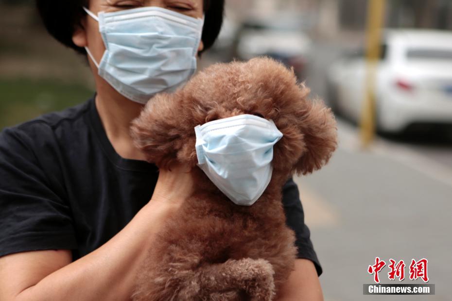 北京发布沙尘蓝色预警 城区遭沙尘笼罩