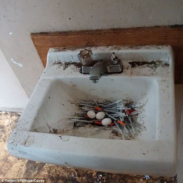 温哥华鸽子用吸毒者皮下注射器来筑巢(图)