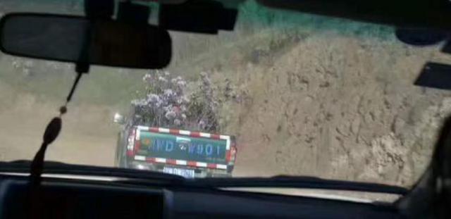 四川最美杜鹃花海遭毒手 有人折花枝点燃烧烤