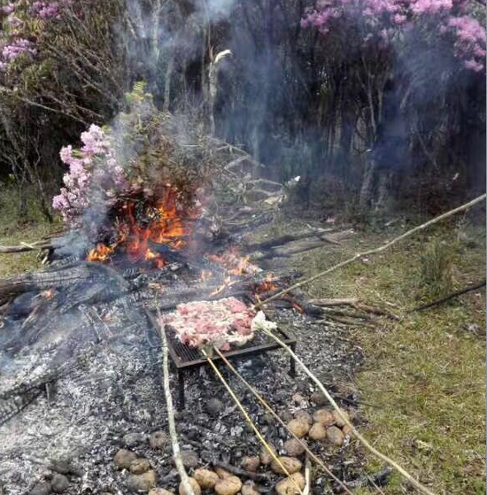 四川最美杜鹃花海遭毒手 有人折花枝点燃烧烤