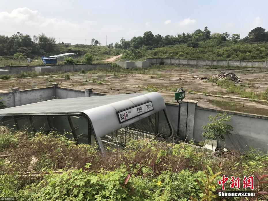 重庆现最隐秘轨道站 乘客稀少杂草丛生