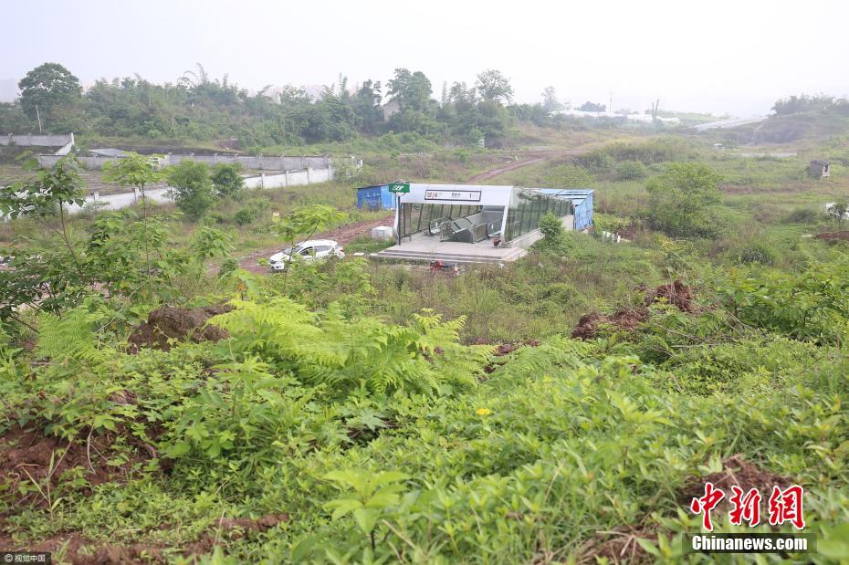 重庆现最隐秘轨道站 乘客稀少杂草丛生