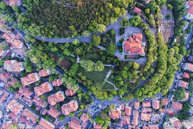 初夏的青岛开启“红瓦绿树碧海蓝天”模式(图)