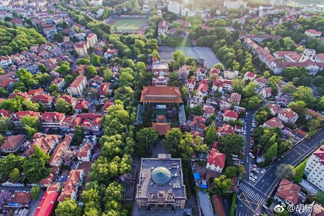 初夏的青岛开启“红瓦绿树碧海蓝天”模式(图)