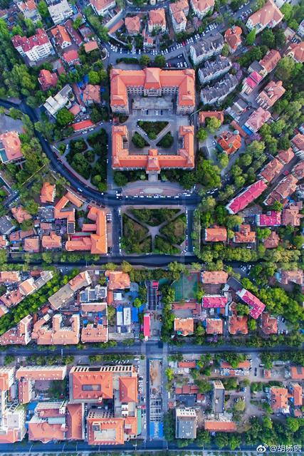 初夏的青岛开启“红瓦绿树碧海蓝天”模式(图)