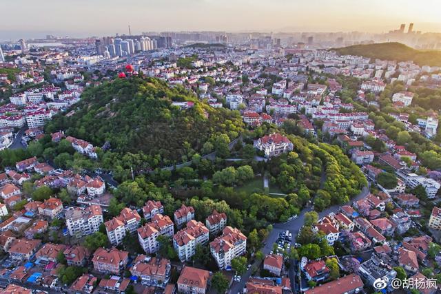 初夏的青岛开启“红瓦绿树碧海蓝天”模式(图)