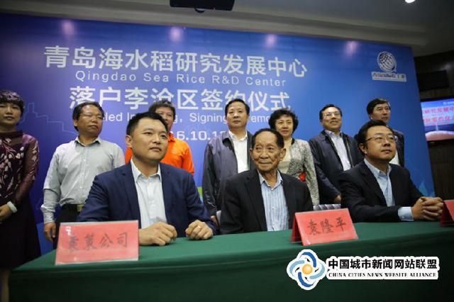 揭秘海水稻研发中心 第一代海水稻今年将收割