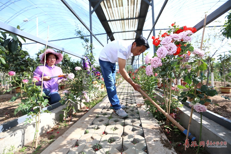 即墨农民建起乡村公益花园 自费百万元