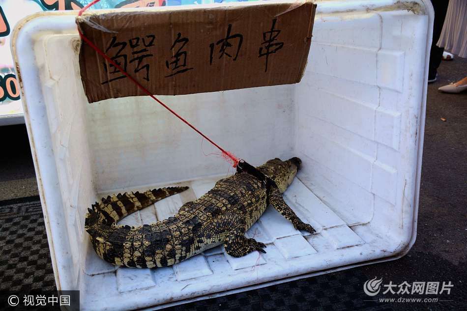 摊主街头霸气遛鳄鱼 现场制作鳄鱼肉引围观