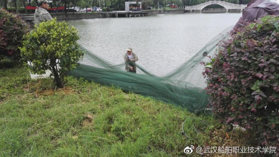 湖里鱼儿繁殖迅猛 武汉一高校请师生免费吃