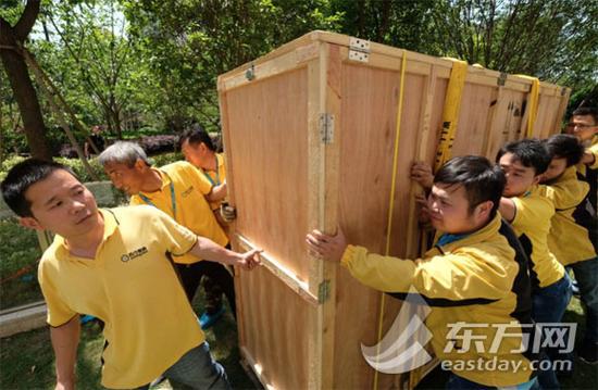 市民50万买100寸彩电 6小时悬吊入户花费2万多