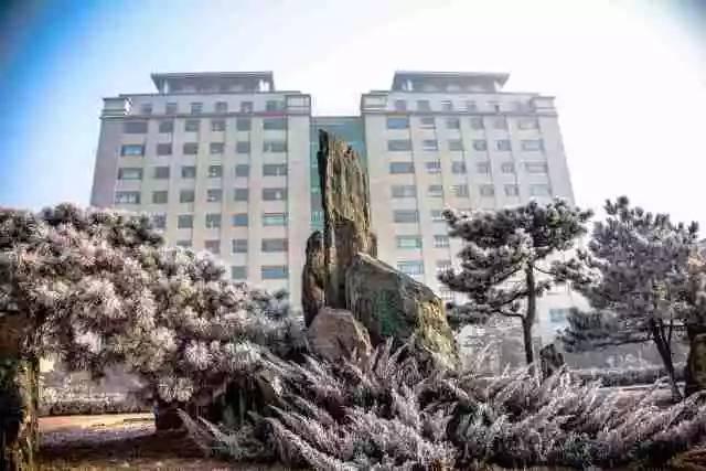 解放军海军航空大学亮相 青岛设校区