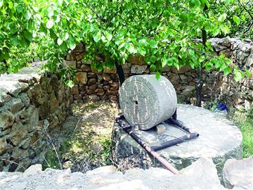 走在乡间小路上 探访花果山黄岛区毛家山村