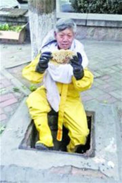 老人捅蜂窝捅出奇迹 意外发现濒临灭绝中华蜜蜂