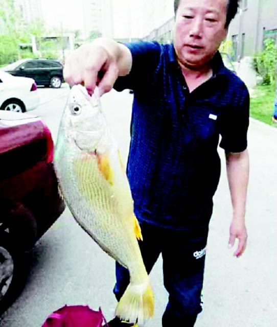 驾船去海钓五天人未归 家属恐其遭遇沉船事故