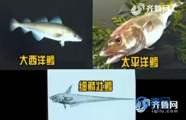 孩子吃完9.9元/盒鳕鱼闹肚子 疑是'油鱼