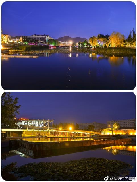流光溢彩夜色迷人 这样的李村河你认识吗
