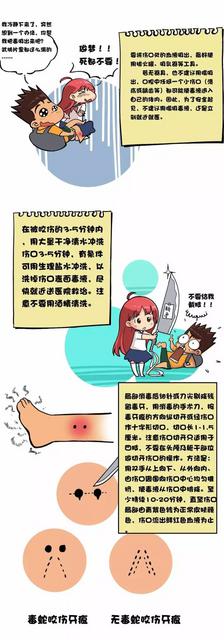 被蛇咬后究竟会不会七步倒 今天终于有答案了