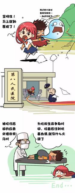 被蛇咬后究竟会不会七步倒 今天终于有答案了